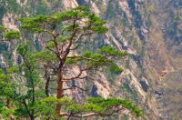 什么季节去武当山旅游景点 什么季节去武当山旅游景点最好