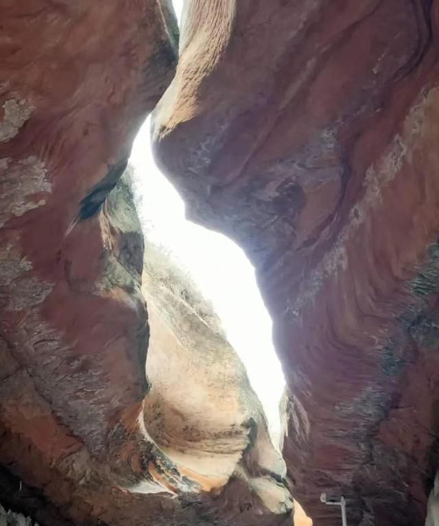 春节去哪里旅游,春节去哪里旅游性价比最高