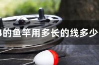 5.4的鱼竿用多长的线多少号?