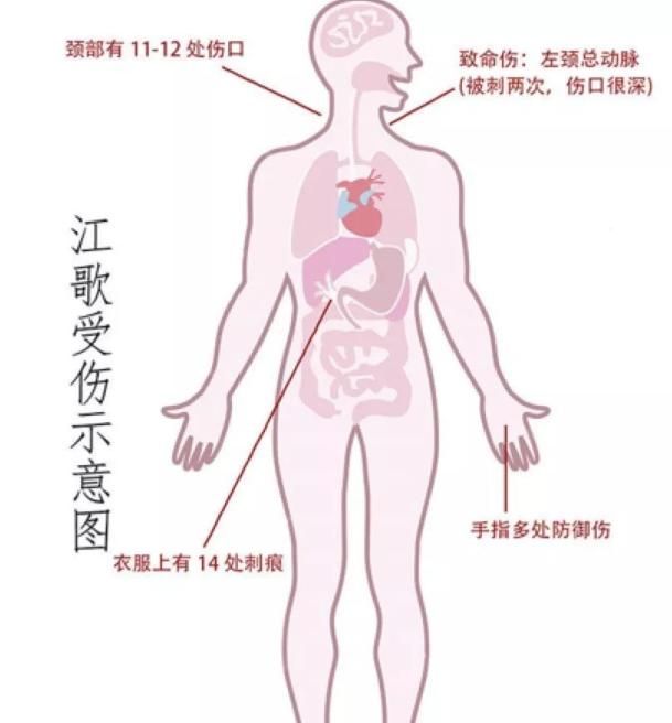 江歌最新案件进展