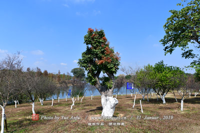 济南山陕会馆遗址