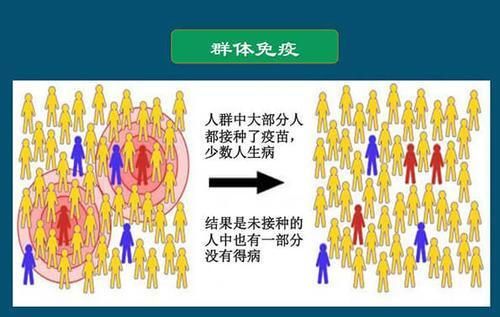 群体免疫有科学的解释吗,群体免疫法解释