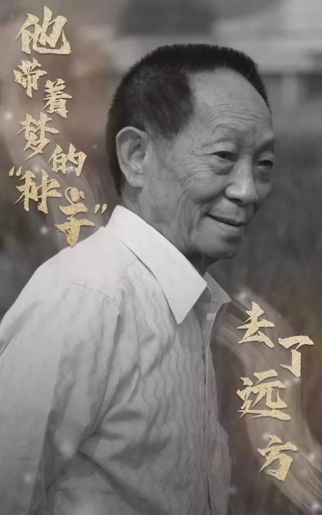 袁隆平是不是要降半旗