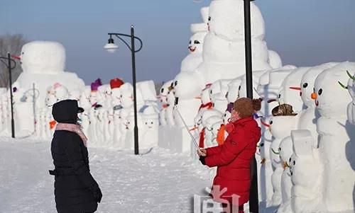 哈尔滨有很多雪人的地方在哪儿啊