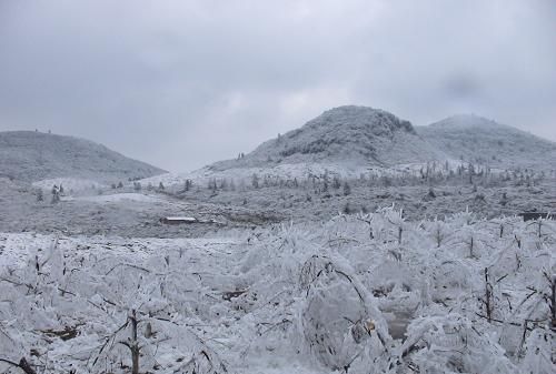 2008年除了汶川大地震,还发生了哪些事情呢