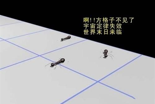 宇宙中存在十维空间吗(十维空间还存在宇宙里面吗)