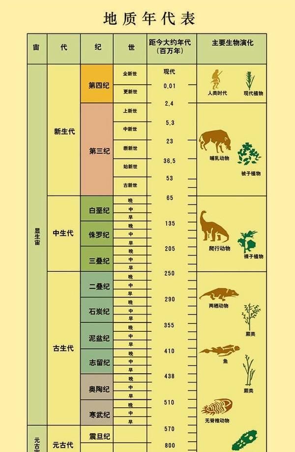 人类都有什么细思极恐的细节(人类有什么细思极恐的行为)