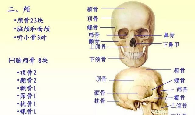 为什么有时候子弹不能打穿人的脑袋呢