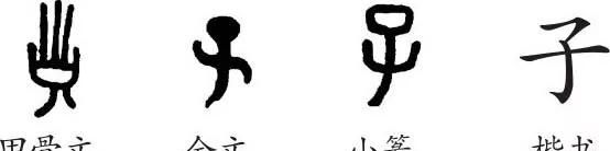 大禹死后埋在哪里,大禹死后葬于什么地方