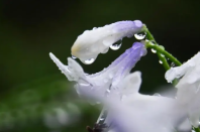 2023年​8月份长白山是雨季吗