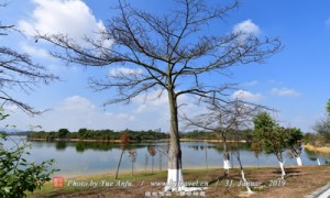 章丘李家大院